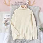 Heart Embroidered Turtleneck Sweater / Long-sleeve Knit Dress