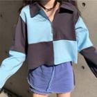 Long-sleeve Half-zip Color Block Cropped Sweatshirt