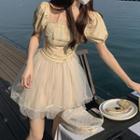 Sheer Overlay A-line Dress (various Designs)