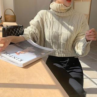 Turtle-neck Cable-knit Cropped Sweater