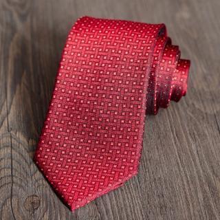 Patterned Silk Neck Tie Zs73 - One Size