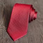Patterned Silk Neck Tie Zs73 - One Size