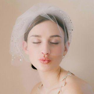 Rhinestone Wedding Birdcage Veil