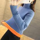 Fleece-lined Turtleneck Ribbed Sweater