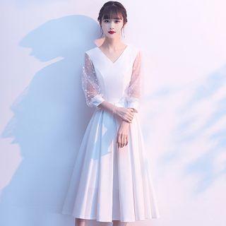 Balloon-sleeve Dotted Mesh Panel A-line Dress