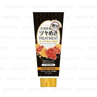 Cosmetex Roland - Decora Veil Treatment Repair Hair Pack (shiny) 300g
