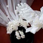 Wedding Flower Accent Hair Comb With Veil / Gloves / Clip-on Earring