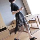 Set: Short Sleeve Knit Dress + Mesh Midi Skirt