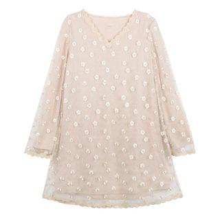 Embroidered V-neck Long-sleeve Shift Dress