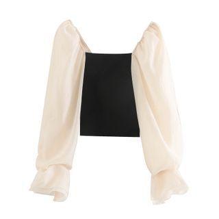 Long-sleeve Fitted Mesh Top