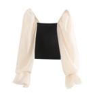 Long-sleeve Fitted Mesh Top