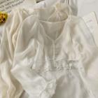 Lace-trim Sheer Light Top