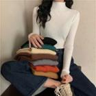 High-neck Plain Ribbed Long-sleeve Knit Top