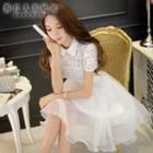 Short-sleeve Lace Panel Tulle Dress