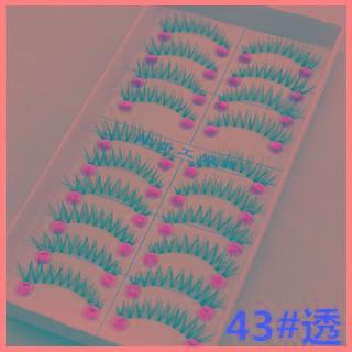 False Eyelashes ( 10 Pairs) #43 - One Size