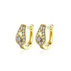 Elegant Noble Plated Gold Water Drop-shaped Cubic Zircon Earrings Golden - One Size