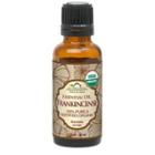 Us Organic - Frankincense (boswellia Serrata) Essential Oil, 30ml 30ml