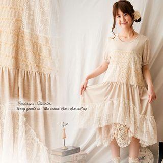 Princess Sleeve Lace Dress