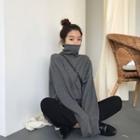 Plain Turtle-neck Loose-fit Sweatshirt