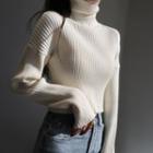 Plain Turtle-neck Long-sleeve Sweater White - One Size