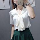 Lace Trim Tie-neck Short-sleeve Blouse