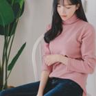 Turtleneck Colored Knit Top
