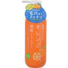 Ishizawa-lab - Plant-born Orange Scalp Shampoo 400ml