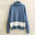 Turtleneck Contrast Trim Sweater