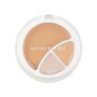 Nature Republic - Provence Intense Cover 3-in-1 Strobeing Foundation 12g #02 Natural Beige