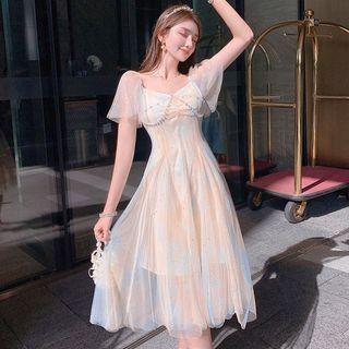Short Sleeve Mesh Dress