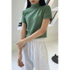 Short-sleeve Turtle-neck Napped Crop Top