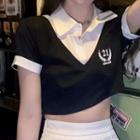 Short-sleeve Polo Collar Embroidered Cropped Top / High-waist Pleated A-line Mini Skirt