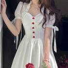 Puff-sleeve Floral Embroidered A-line Dress / Spaghetti Strap Dress