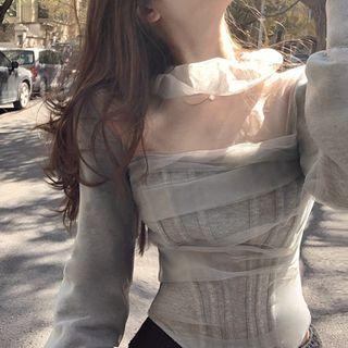 Long-sleeve Mesh Panel Boned Corset Top