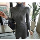 Turtle-neck Rib-knit A-line Dress