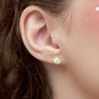 Asymmetric Fruit Ear Stud / Box Set