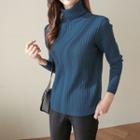 Turtle-neck Textured Ribbed Knit Top