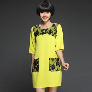 Elbow-sleeve Lace Panel Dress