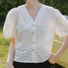 Puff-sleeve Eyelet V-neck Cropped Blouse