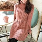 Colored Turtle-neck Cable-knit Dress