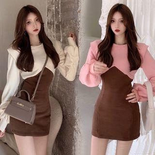 Two Tone Mini Sheath Sweatshirt Dress