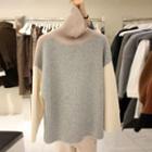Color Panel Turtle-neck Sweater