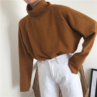 Plain Turtle-neck Long-sleeve Loose-fit Top