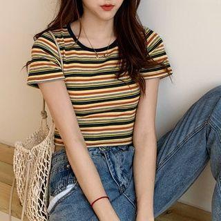 Short-sleeve Striped Crop Knit Top Stripe - Green - One Size