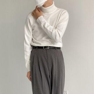 Turtle Neck Plain Sweater