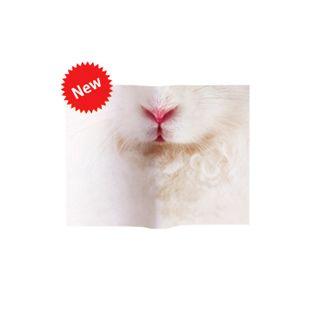 Animal Mask Book Cover (rabbit)