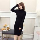 Turtleneck Long-sleeve Knit Dress Black - One Size