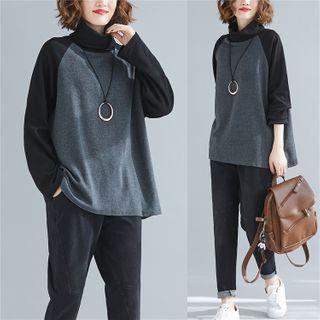Long-sleeve Turtleneck Top Gray - One Size