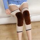 Fleece-lined Knee Warmer Random Color - One Size