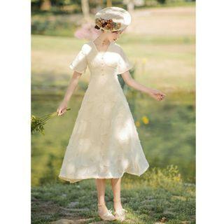 Faux Pearl Button V-neck Midi A-line Dress